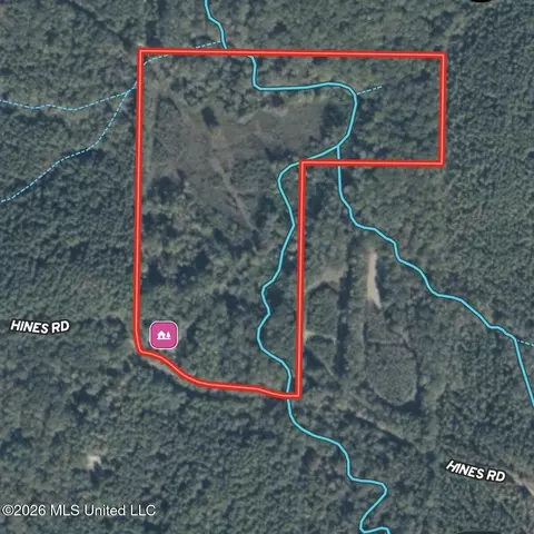672- A31 Hines Rd, Camden, MS 39045