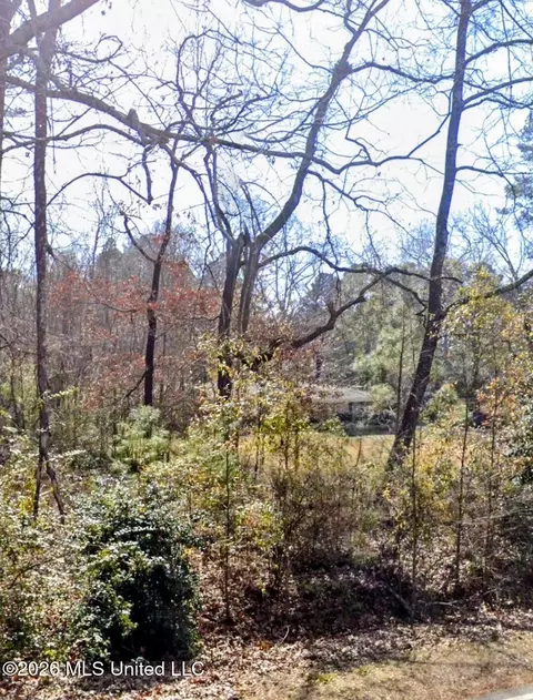 Lake Shore Road, Jackson, MS 39212 photo 5
