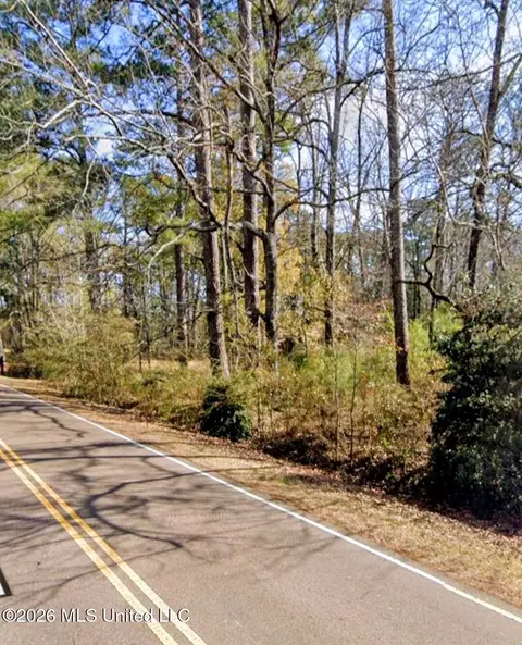 Lake Shore Road, Jackson, MS 39212 photo 4