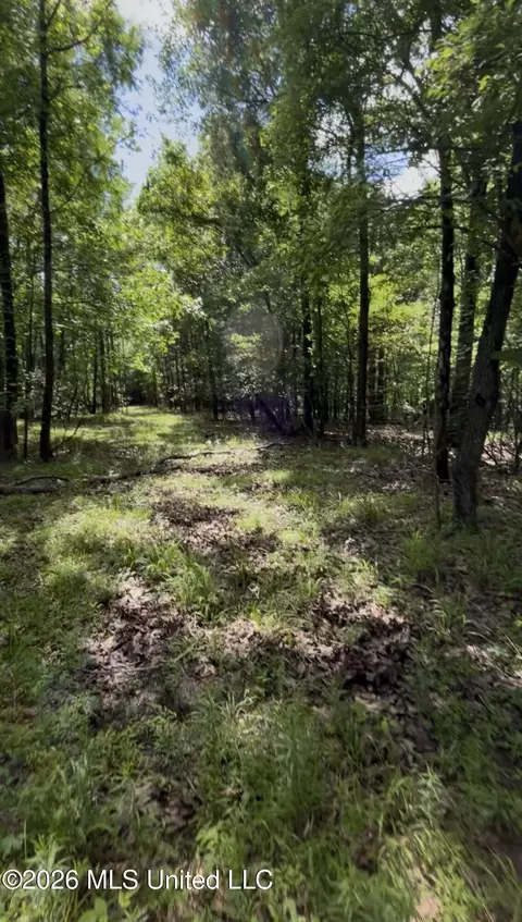 5235 Highway 51, Hernando, MS 38632 photo 3