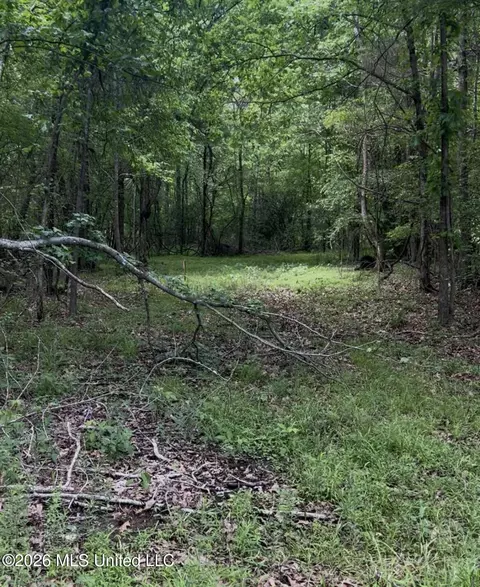 5235 Highway 51, Hernando, MS 38632 photo 2