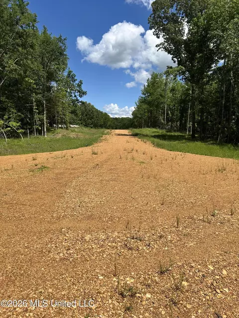 5235 Highway 51, Hernando, MS 38632 photo 5