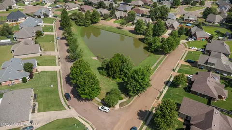 View/Area - 1457 E Lake Front Dr, Hernando, MS 38632 photo 6 of 7