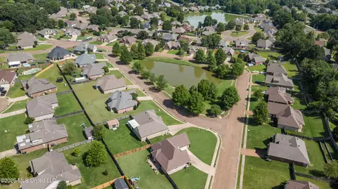 View/Area - 1457 E Lake Front Dr, Hernando, MS 38632 photo 7 of 7