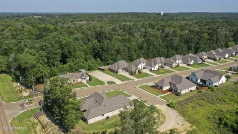 View/Area - 600 Ponderosa Dr, Flowood, MS 39232 photo 3 of 5