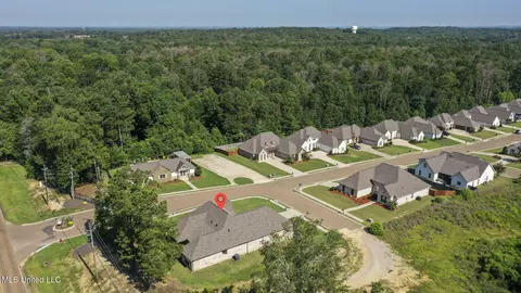 View/Area - 600 Ponderosa Dr, Flowood, MS 39232 photo 4 of 5