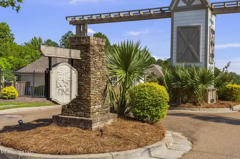 Other - 600 Ponderosa Dr, Flowood, MS 39232 photo 14 of 14