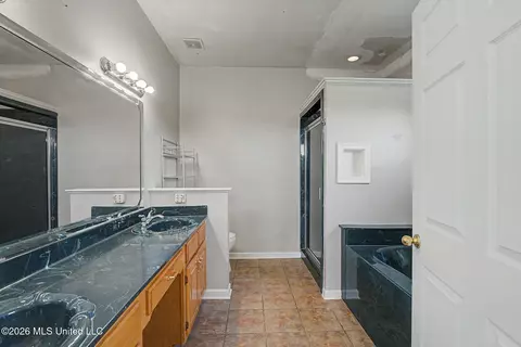 Bath - 4004 Green Meadow Dr, Hernando, MS 38632 photo 1 of 2
