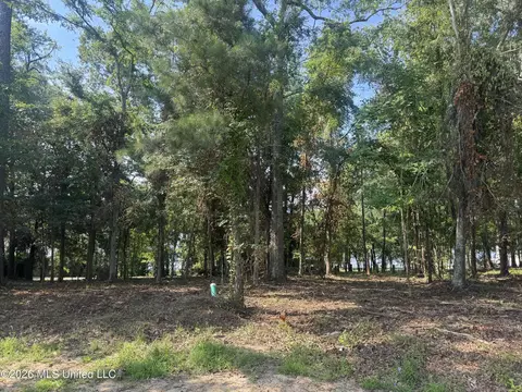N Natchez Drive, Madison, MS 39110 photo 2