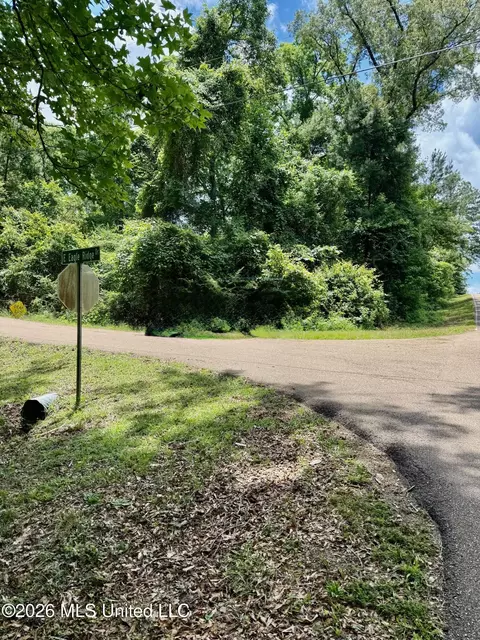 S Eagle Ridge Drive, Florence, MS 39073 photo 2