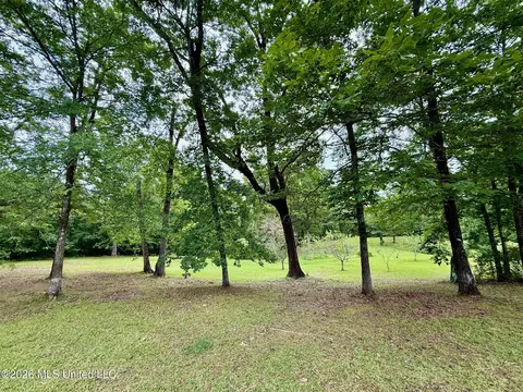 S Eagle Ridge Drive, Florence, MS 39073 photo 7
