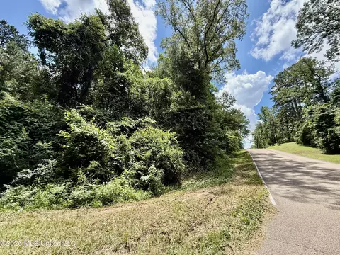 S Eagle Ridge Drive, Florence, MS 39073 photo 8