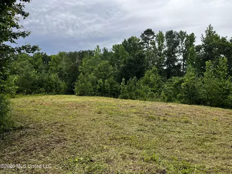 Cline Road, Wesson, MS 39191