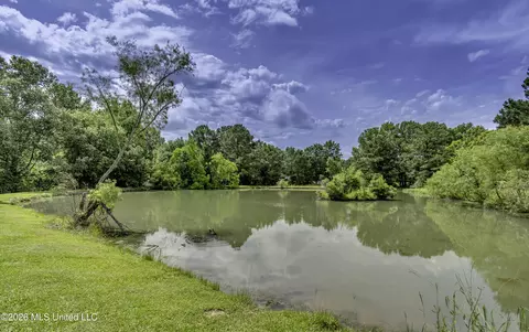 180 Johnson Ln, Canton, MS 39046 photo 44