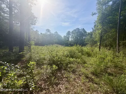 112 Pine Ridge Dr, Picayune, MS 39466 photo 5