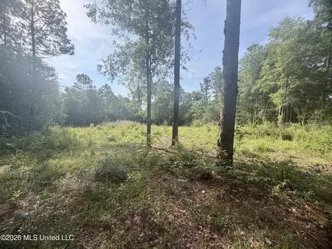 112 Pine Ridge Dr, Picayune, MS 39466 photo 3