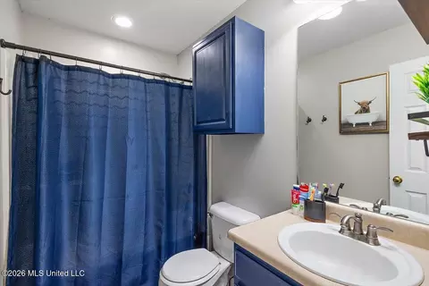 Bath - 612 Shadowridge Dr, Brandon, MS 39047 photo 3 of 3