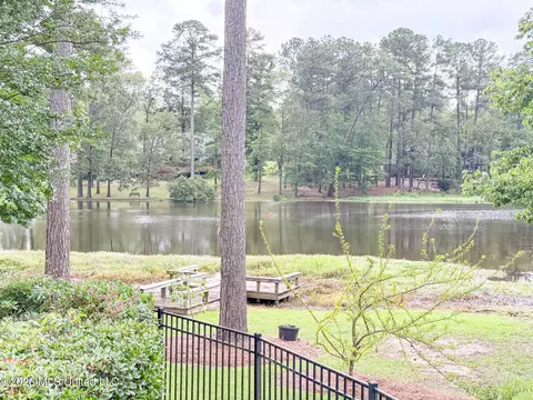 View/Area - 114 Redbud Dr, Brandon, MS 39047 photo 1 of 1