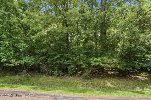 0 Dover Ln, Madison, MS 39110 photo 2