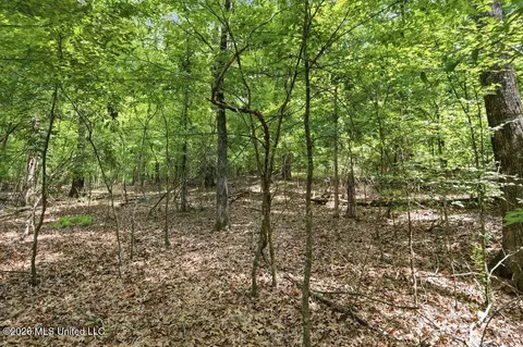 0 Dover Ln, Madison, MS 39110 photo 3