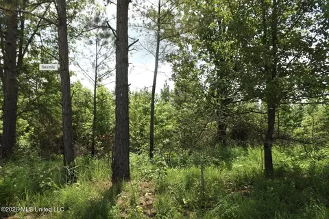 Randletown Road, Lexington, MS 39095