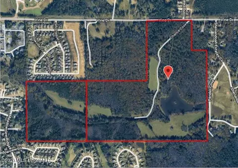 Vine Drive, Brandon, MS 39047 photo 2