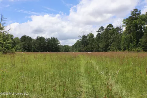 Vine Drive, Brandon, MS 39047 photo 5