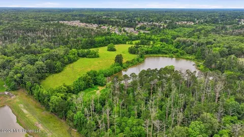 Vine Drive, Brandon, MS 39047 photo 27