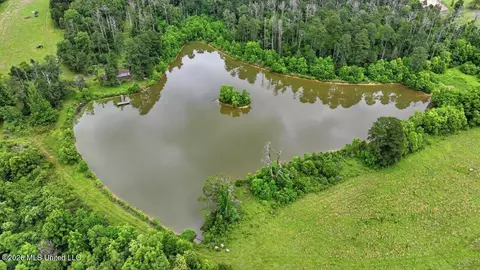 Vine Drive, Brandon, MS 39047 photo 45