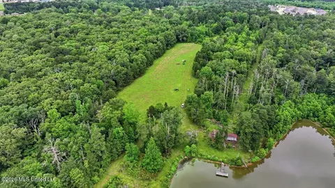 Vine Drive, Brandon, MS 39047 photo 40