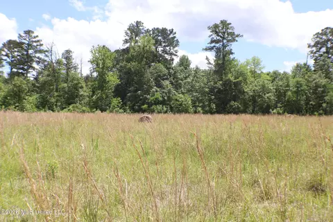 Vine Drive, Brandon, MS 39047 photo 14