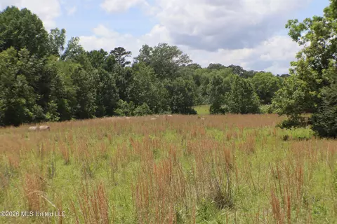 Vine Drive, Brandon, MS 39047 photo 7