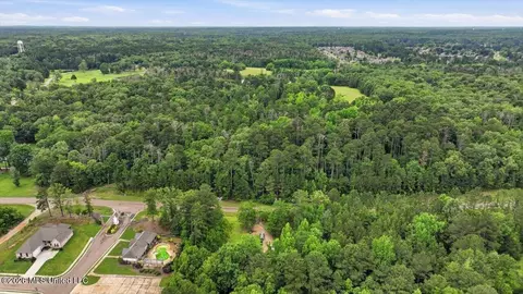 Vine Drive, Brandon, MS 39047 photo 31