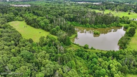 Vine Drive, Brandon, MS 39047 photo 38
