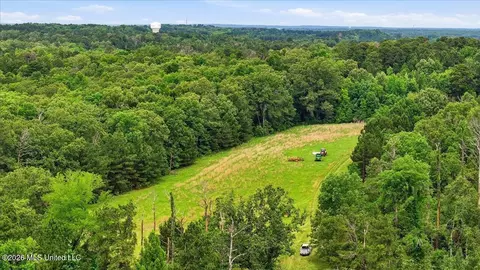 Vine Drive, Brandon, MS 39047 photo 58