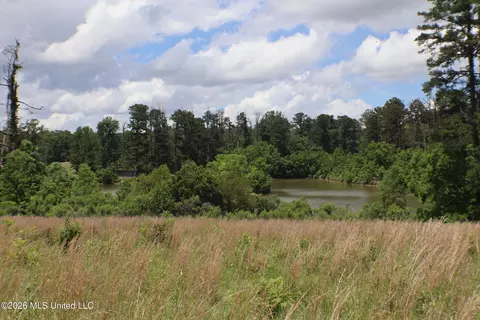 Vine Drive, Brandon, MS 39047 photo 18