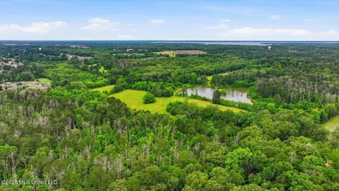 Vine Drive, Brandon, MS 39047 photo 24