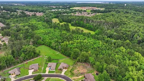 Vine Drive, Brandon, MS 39047 photo 21