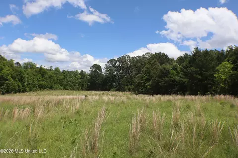 Vine Drive, Brandon, MS 39047 photo 9