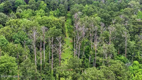 Vine Drive, Brandon, MS 39047 photo 59