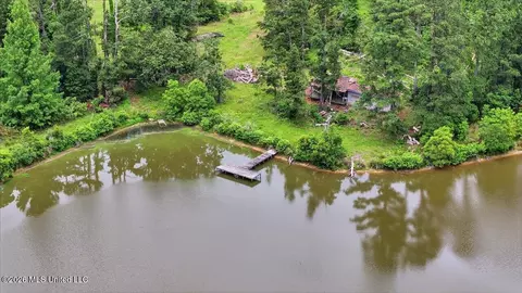 Vine Drive, Brandon, MS 39047 photo 53