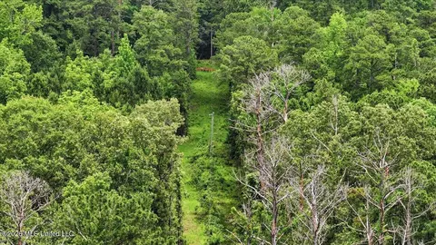 Vine Drive, Brandon, MS 39047 photo 60