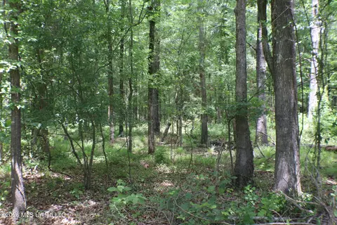 Vine Drive, Brandon, MS 39047 photo 4