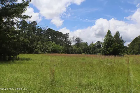 Vine Drive, Brandon, MS 39047 photo 12