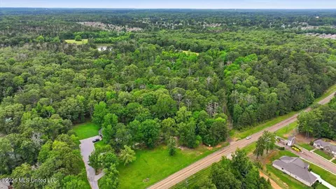 Vine Drive, Brandon, MS 39047 photo 29