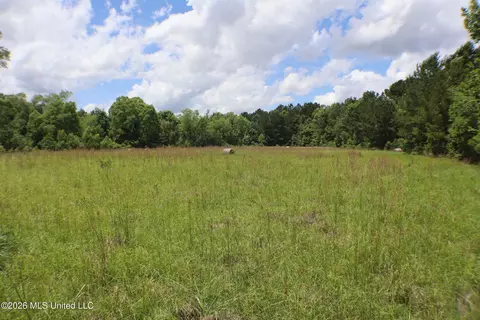 Vine Drive, Brandon, MS 39047 photo 19