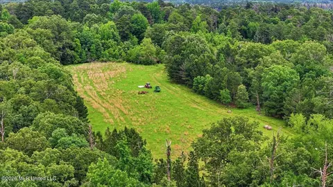 Vine Drive, Brandon, MS 39047 photo 57