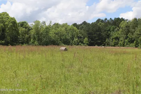 Vine Drive, Brandon, MS 39047 photo 3