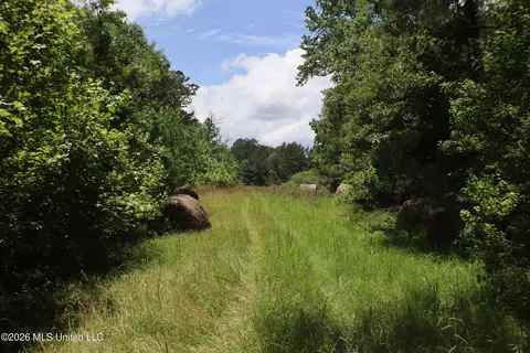Vine Drive, Brandon, MS 39047 photo 8