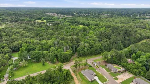 Vine Drive, Brandon, MS 39047 photo 30